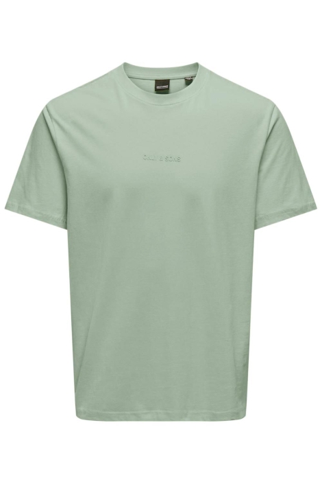 Only & Sons onslevi life reg text ss tee noos
